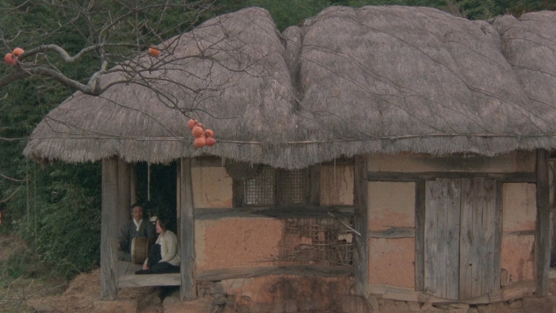 فیلم حرکت 1993 3 Seopyeonje aka sopyonje